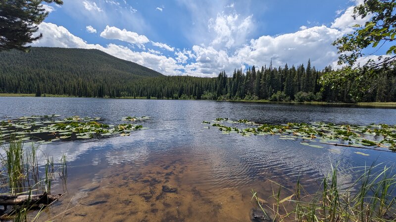 Chapman Lake