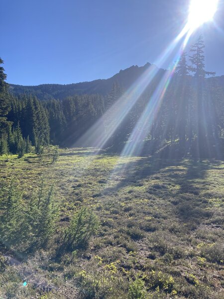 View of Goat Peak from meadow.