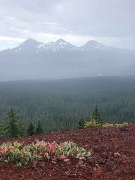 View of the sisters from the summit of Scott, despite some rain.