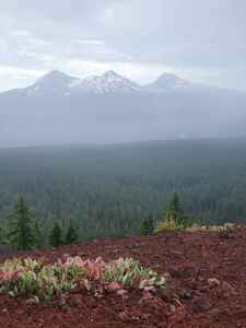 View of the sisters from the summit of Scott, despite some rain.