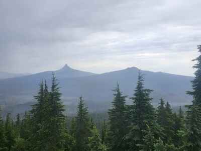 Overcast view of Mt. Washington from Scott mountain - some bad burn damage visible down below.