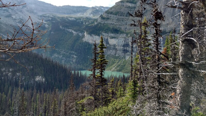 Nearby turquoise Lower Elk Lake at the base of rugged cliffs and mountains, comes into view as Viewpoint Trail climbs.