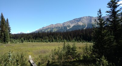 Soggy meadows and mountains to the east. Here, the trail crosses the soggy meadows on boardwalks.