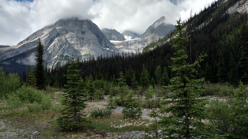 Glaciated peaks ahead as the trail crosses the flood plain of Petain Creek.