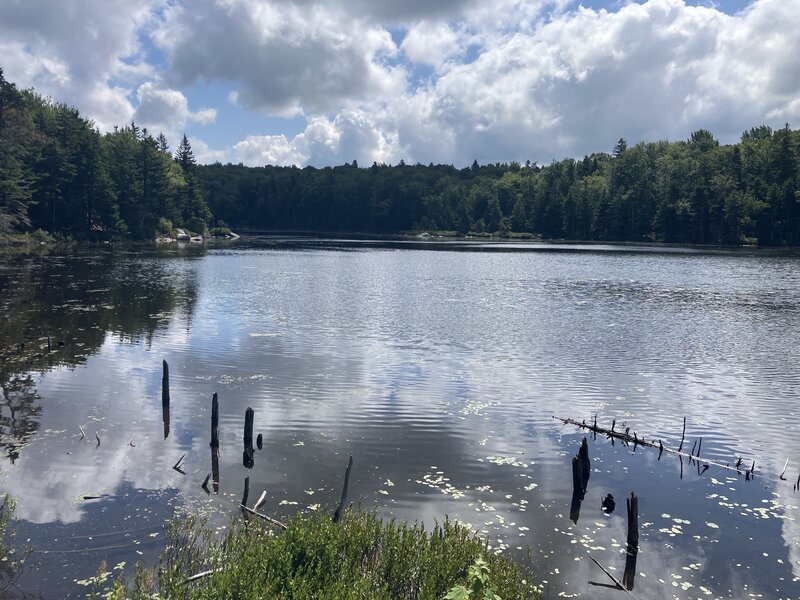 View of Little Pond.