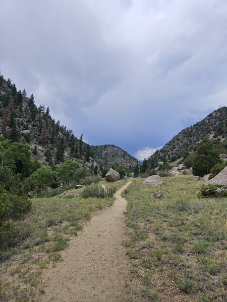 Trail opens up to this after some tighter sections through trees.
