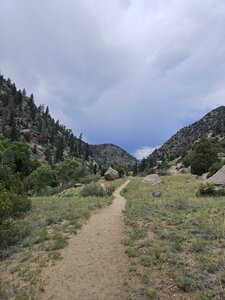 Trail opens up to this after some tighter sections through trees.