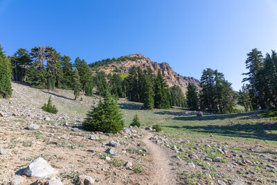 The ascent to Brokeoff Mountain.