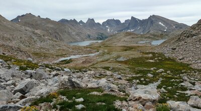 Where the alpine meadows meet the rocks along Photo Pass Trail. Bewmark Lake (left) and Lake 11921 (right) are nearby. In the distance (left to right) are unnamed peaks, Bailey Peak, Nylon Peak, Mount Bonneville, Pronghorn Peak, and Dragon Head Peak.