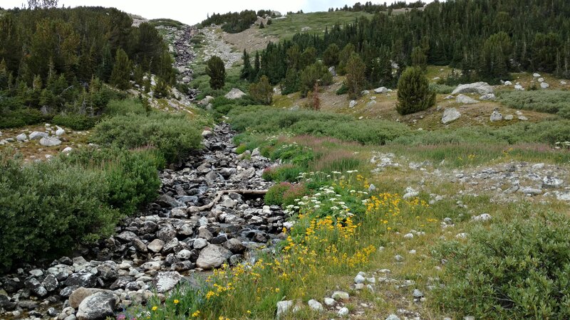 The Bewmark Lake outlet creek cascades down a steep hillside, into Middle Fork Lake. Bewmark Lake is out of sight on the shelf above Middle Fork Lake.