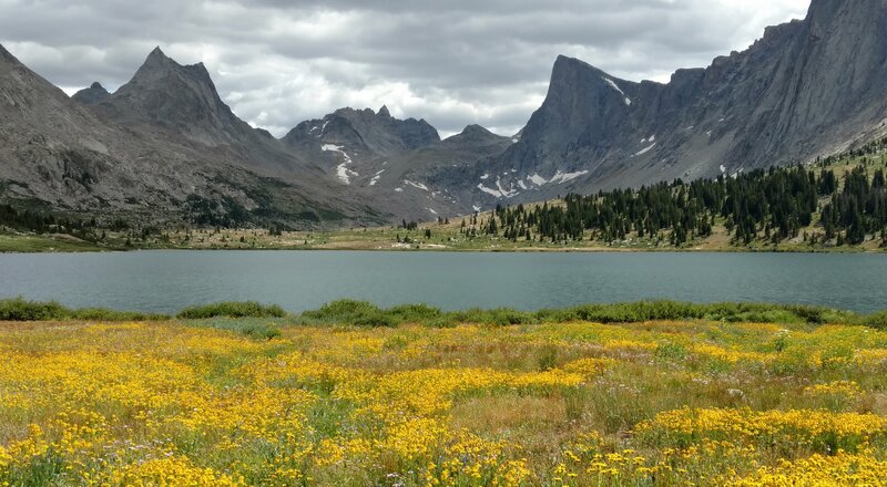 Fields of wildflowers on the northwest side of Middle Fork Lake. Nylon Peak (left), Mount Bonneville (center), and Pronghorn Peak (right) form an impressive backdrop to this Middle Fork Lake scene.