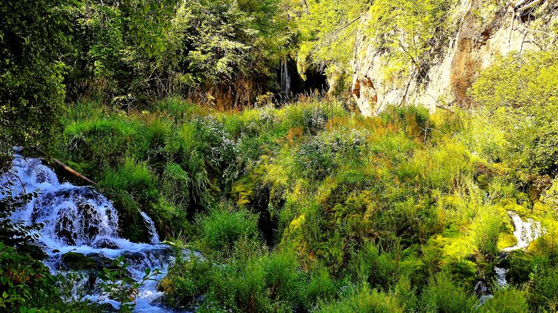 Roughlock Falls Trail