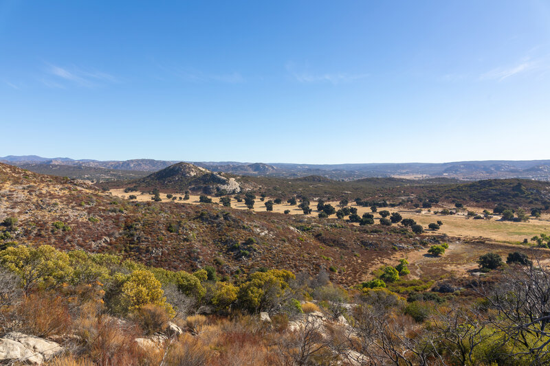 Hacienda del Florasol