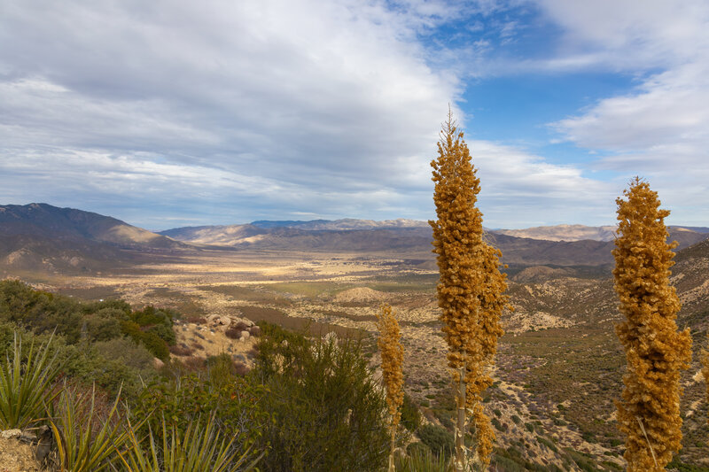 San Felipe Valley