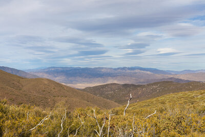 View east while climbing out of Chariot Canyon.