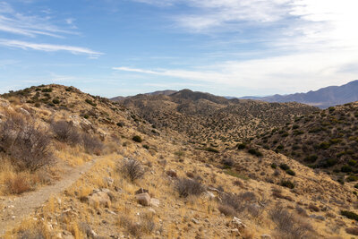 San Felipe Hills