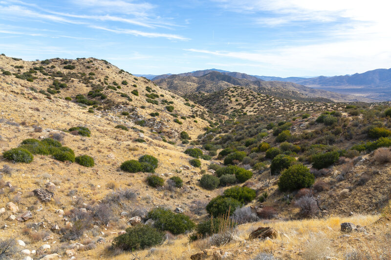 Looking back down one of the canyons in San Felipe Hills.