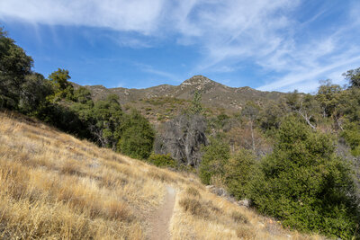 Leaving shaded Agua Caliente Creek.