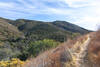 Climbing out of the Agua Caliente Canyon.