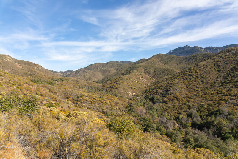 The Agua Caliente Canyon