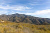 Expansive views towards Hot Spring Mountain.