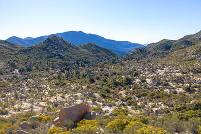 A rocky canyon east of Chihuahua Valley.
