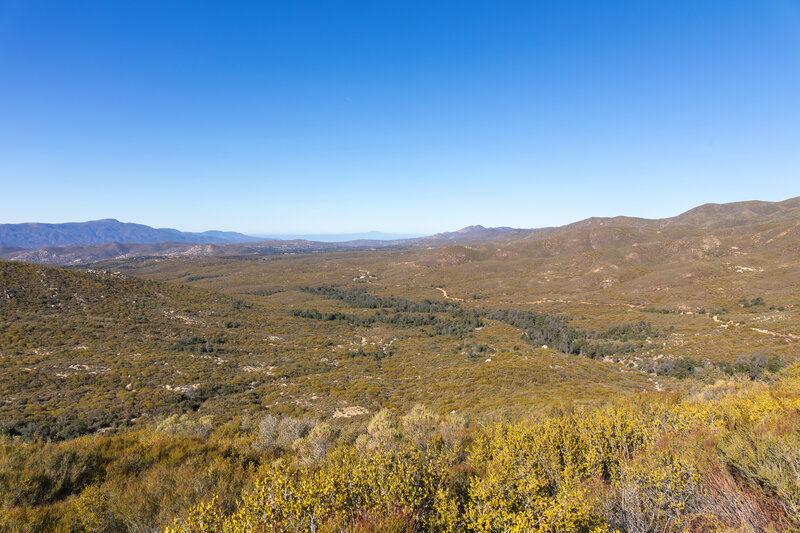 Chihuahua Valley
