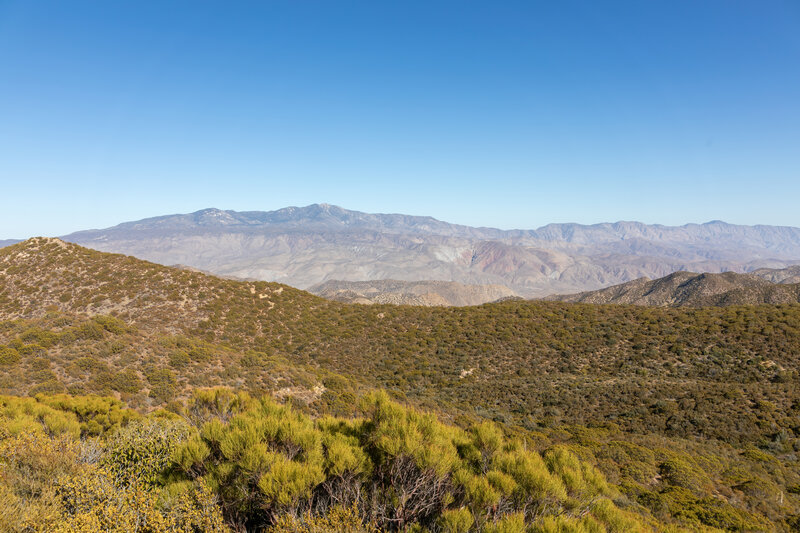 Santa Rosa Mountains