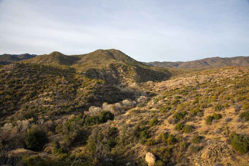 Tule Canyon