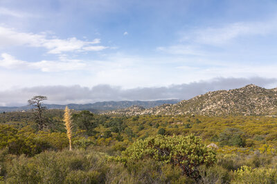The clouds over Penrod Canyon are slowly dissipating.