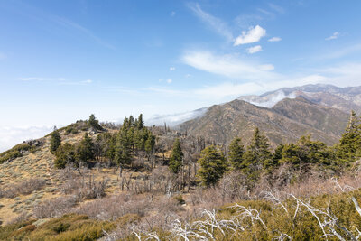 The San Jacinto Mountains