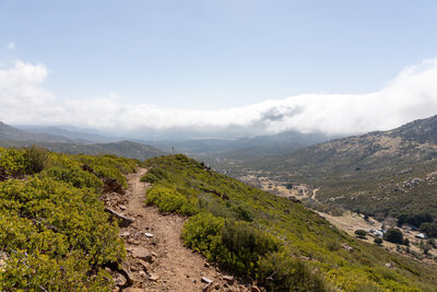 View down Fobes Canyon.