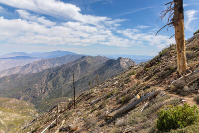 San Jacinto and Santa Rosa Mountains.