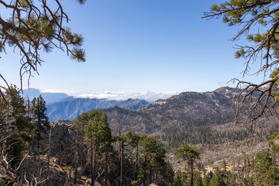 Red Tahquitz from Willow Creek Trail.
