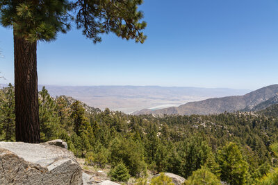 Coachella Valley in the distance.