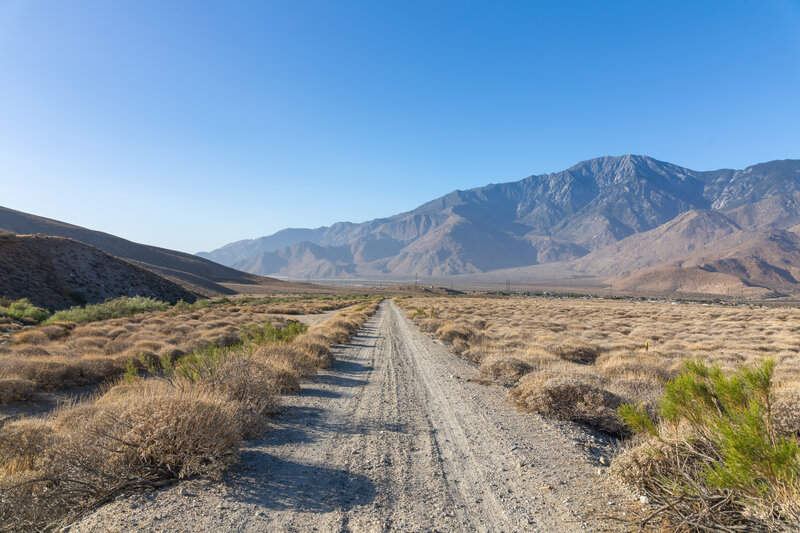 Crossing Desert View Road