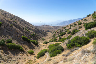 Gold Canyon and Mesa Wind Farm