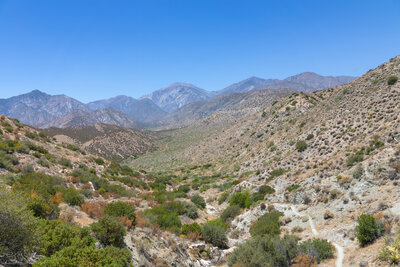 San Gorgonio Mountain in the distance.