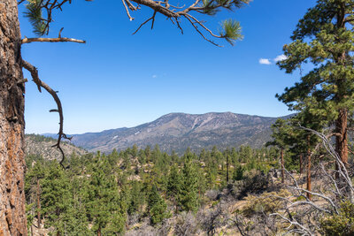 Sugarloaf Mountain from the Pacific Crest Trail