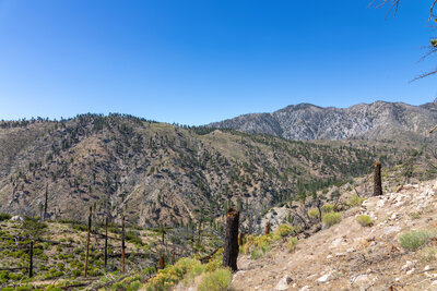 Ten Thousand Foot Ridge