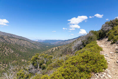Looking down the Heart Bar Creek valley.