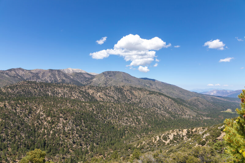 San Gorgonio Mountain in the distance.