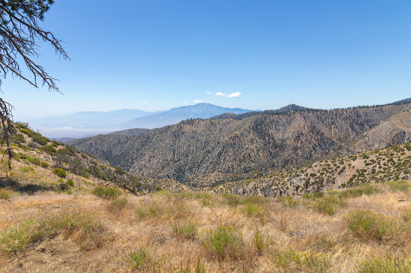 San Jacinto Peak in the distance across Mission Creek.