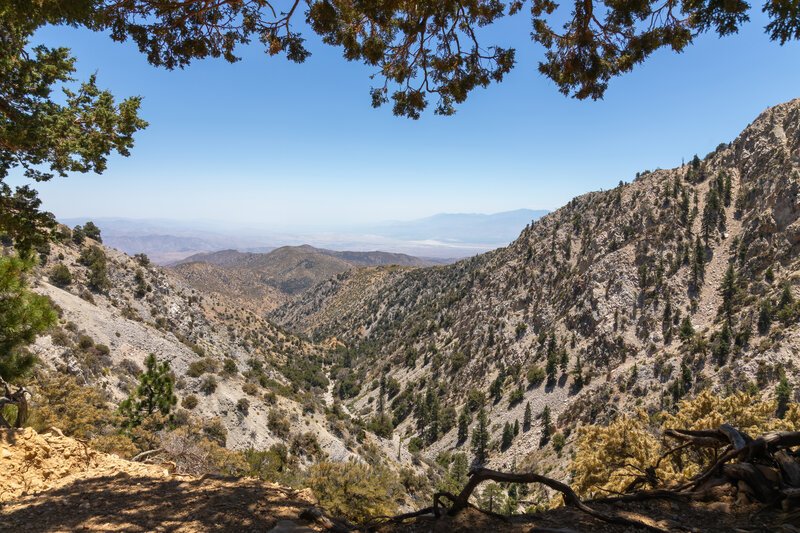 View from Coon Creek jumpoff