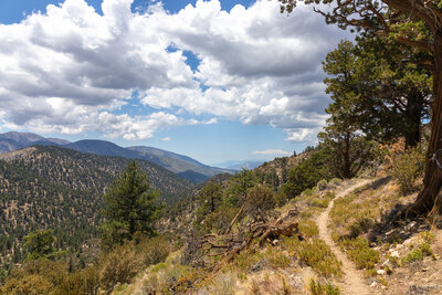 View west from the Pacific Crest Trail.