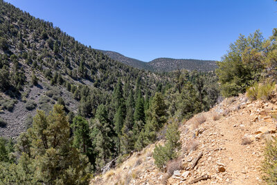 Balky Horse Canyon