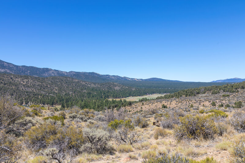 View towards Erwin Lake.