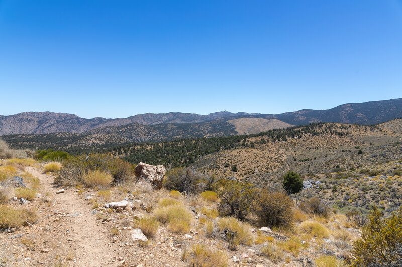 Little shade, but great views east.