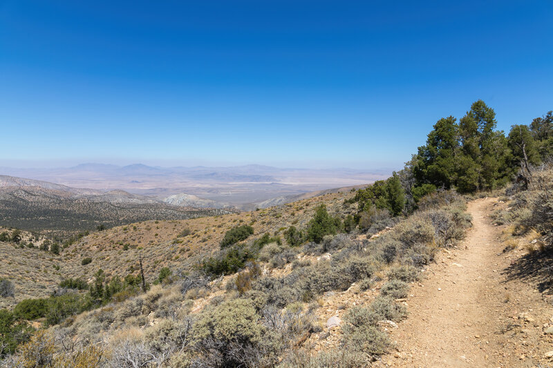 Abundant desert views.