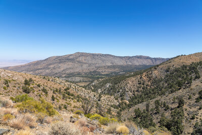 View east towards the next mountain ridge.